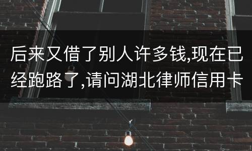 后来又借了别人许多钱,现在已经跑路了,请问湖北律师信用卡借钱不还会怎样呢