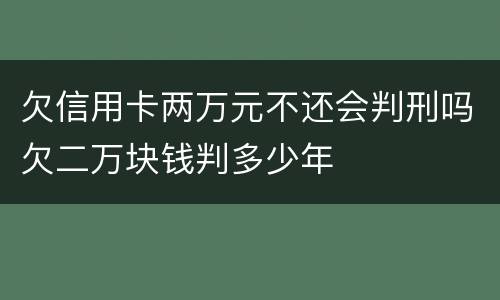欠信用卡两万元不还会判刑吗欠二万块钱判多少年