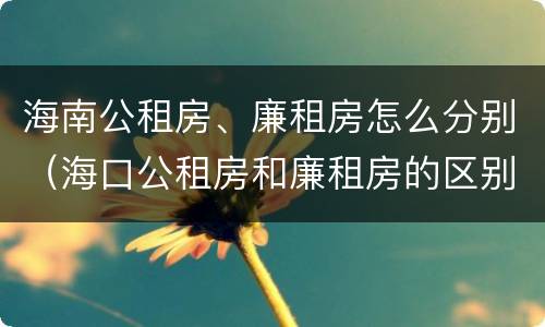 海南公租房、廉租房怎么分别（海口公租房和廉租房的区别）