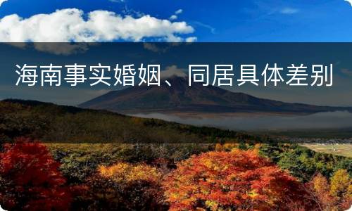 海南事实婚姻、同居具体差别