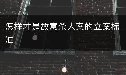 怎样才是故意杀人案的立案标准