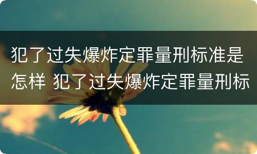 犯了过失爆炸定罪量刑标准是怎样 犯了过失爆炸定罪量刑标准是怎样定的