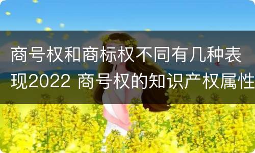 商号权和商标权不同有几种表现2022 商号权的知识产权属性