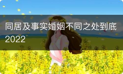 同居及事实婚姻不同之处到底2022