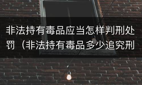 非法持有毒品应当怎样判刑处罚（非法持有毒品多少追究刑事责任）