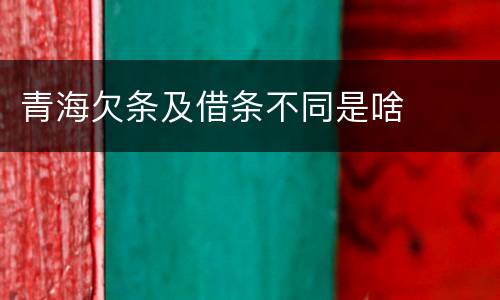 青海欠条及借条不同是啥