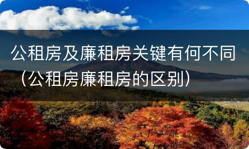 公租房及廉租房关键有何不同（公租房廉租房的区别）