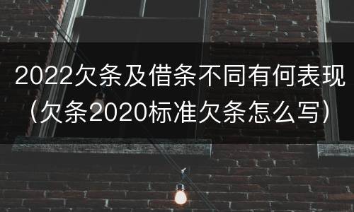 2022欠条及借条不同有何表现（欠条2020标准欠条怎么写）