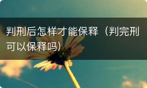 判刑后怎样才能保释（判完刑可以保释吗）