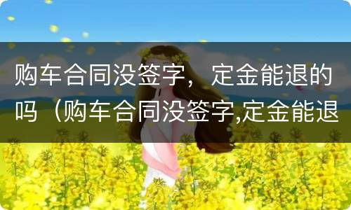 购车合同没签字，定金能退的吗（购车合同没签字,定金能退的吗怎么办）