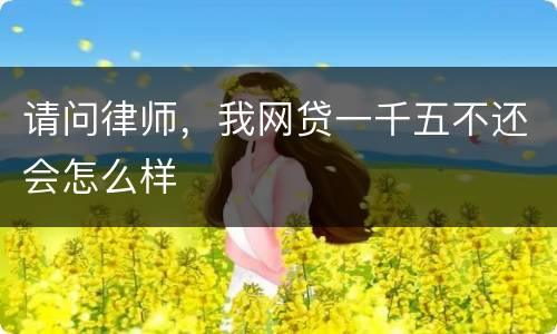 请问律师，我网贷一千五不还会怎么样