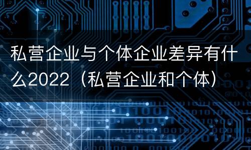 私营企业与个体企业差异有什么2022（私营企业和个体）