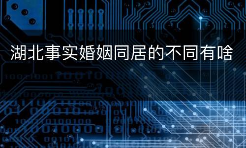 湖北事实婚姻同居的不同有啥