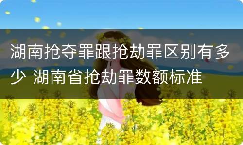 湖南抢夺罪跟抢劫罪区别有多少 湖南省抢劫罪数额标准