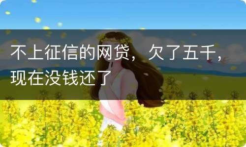 不上征信的网贷，欠了五千，现在没钱还了