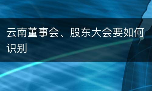 云南董事会、股东大会要如何识别