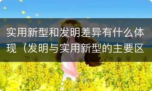 实用新型和发明差异有什么体现（发明与实用新型的主要区别）