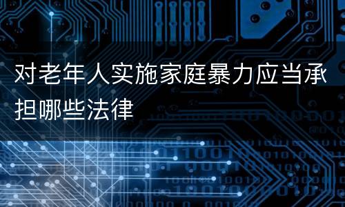 对老年人实施家庭暴力应当承担哪些法律