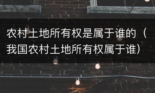 农村土地所有权是属于谁的（我国农村土地所有权属于谁）