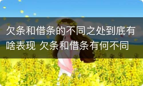 欠条和借条的不同之处到底有啥表现 欠条和借条有何不同