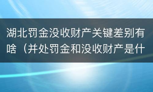 湖北罚金没收财产关键差别有啥（并处罚金和没收财产是什么意思）