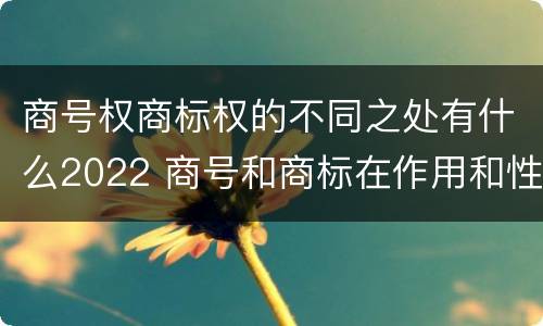 商号权商标权的不同之处有什么2022 商号和商标在作用和性质上的区别