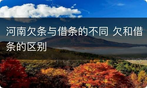 河南欠条与借条的不同 欠和借条的区别