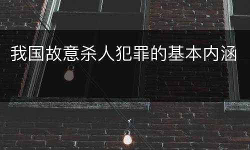 我国故意杀人犯罪的基本内涵