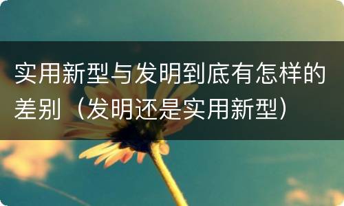 实用新型与发明到底有怎样的差别（发明还是实用新型）