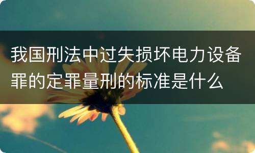 我国刑法中过失损坏电力设备罪的定罪量刑的标准是什么