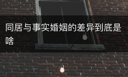 同居与事实婚姻的差异到底是啥