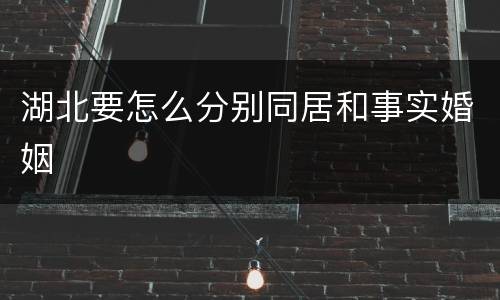 湖北要怎么分别同居和事实婚姻