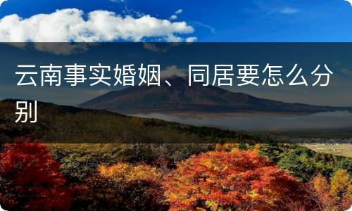 云南事实婚姻、同居要怎么分别