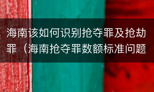 海南该如何识别抢夺罪及抢劫罪（海南抢夺罪数额标准问题的规定）