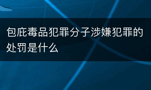 包庇毒品犯罪分子涉嫌犯罪的处罚是什么