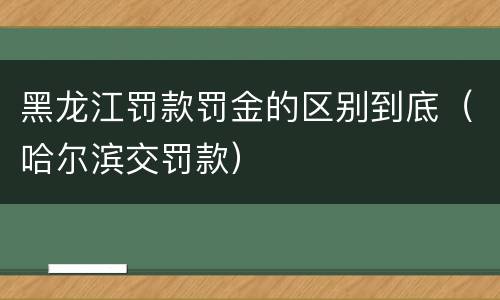 黑龙江罚款罚金的区别到底（哈尔滨交罚款）