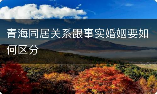青海同居关系跟事实婚姻要如何区分