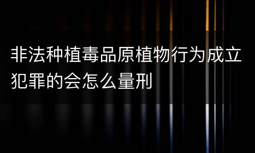 非法种植毒品原植物行为成立犯罪的会怎么量刑