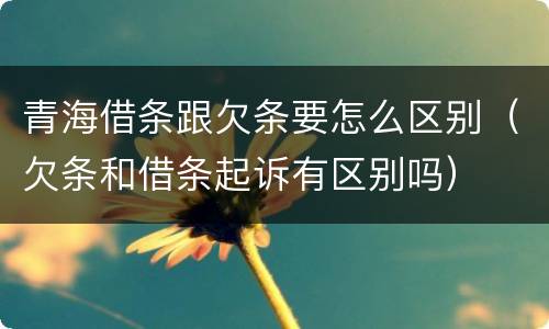 青海借条跟欠条要怎么区别（欠条和借条起诉有区别吗）