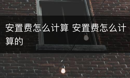 安置费怎么计算 安置费怎么计算的