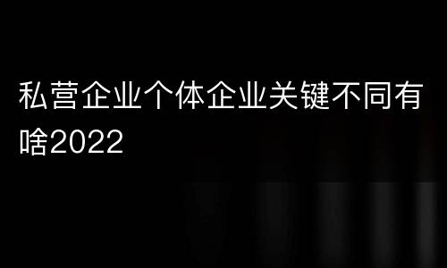 私营企业个体企业关键不同有啥2022