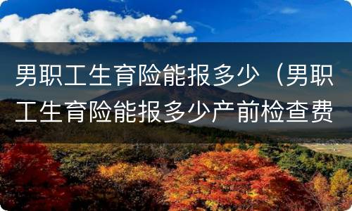 男职工生育险能报多少（男职工生育险能报多少产前检查费）