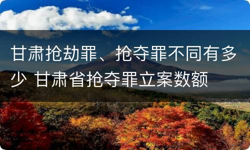 甘肃抢劫罪、抢夺罪不同有多少 甘肃省抢夺罪立案数额