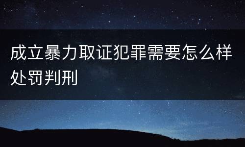 成立暴力取证犯罪需要怎么样处罚判刑