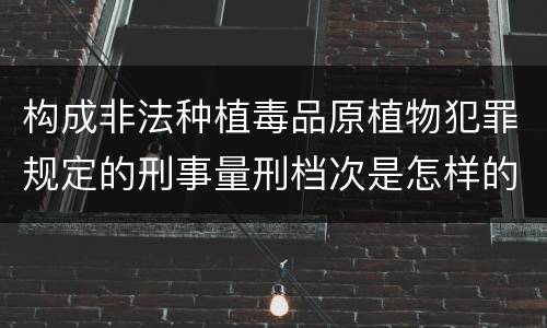 构成非法种植毒品原植物犯罪规定的刑事量刑档次是怎样的