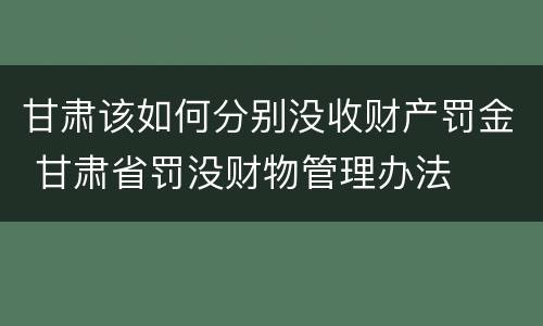 甘肃该如何分别没收财产罚金 甘肃省罚没财物管理办法
