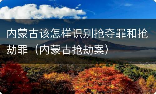内蒙古该怎样识别抢夺罪和抢劫罪（内蒙古抢劫案）