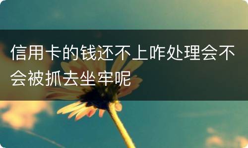 信用卡的钱还不上咋处理会不会被抓去坐牢呢