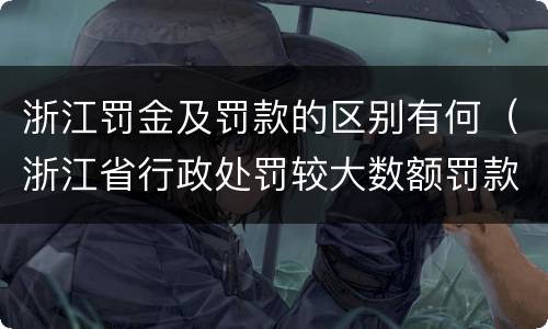 浙江罚金及罚款的区别有何（浙江省行政处罚较大数额罚款怎么界定）