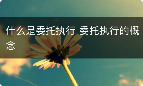 什么是委托执行 委托执行的概念